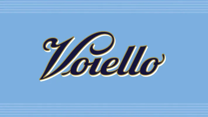 VOIELLO S.p.A