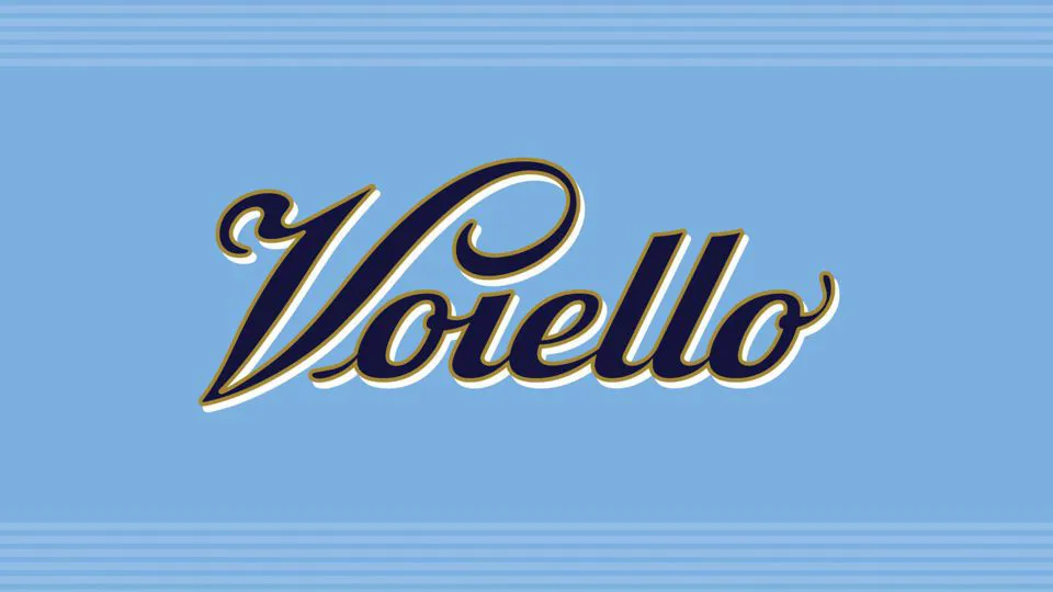 VOIELLO S.p.A